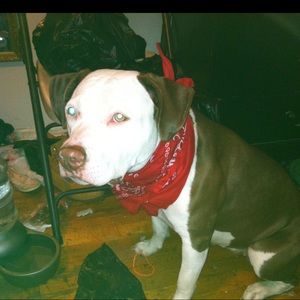 Meet your Posher, La